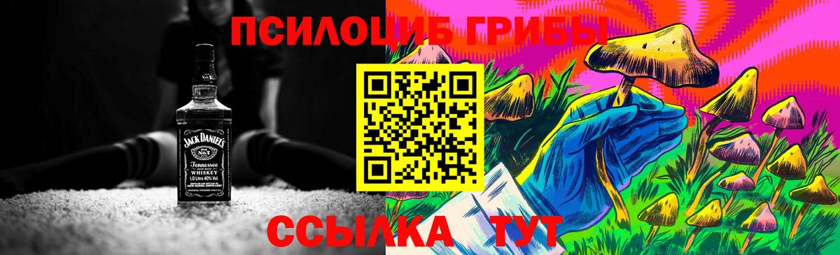 Псилоцибиновые грибы ЛСД  Вход с VPN  купить   Моршанск 