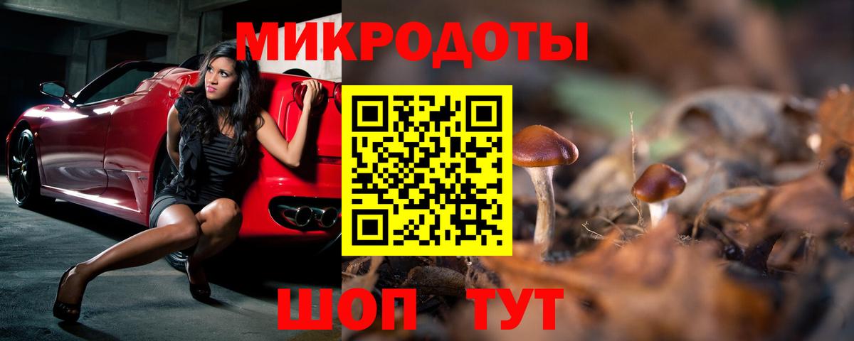 Галлюциногенные грибы прущие грибы Моршанск